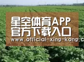 种植基地五