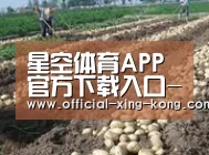 种植基地八