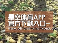 种植基地八(图1)