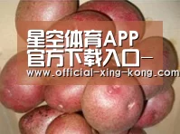 产品展示标题1